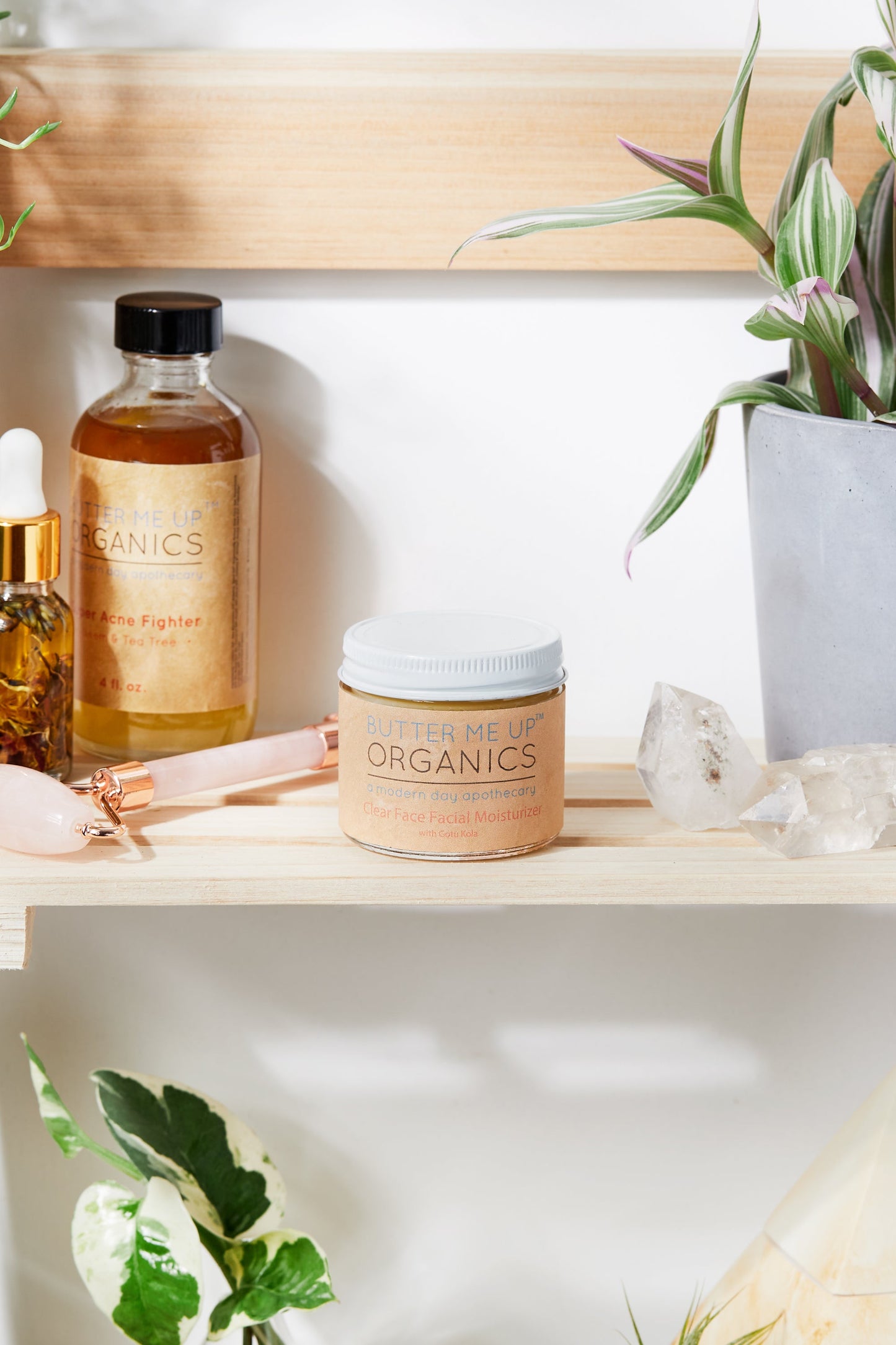 Organic Green Tea Anti-Aging Night Cream - Leisure Life USA