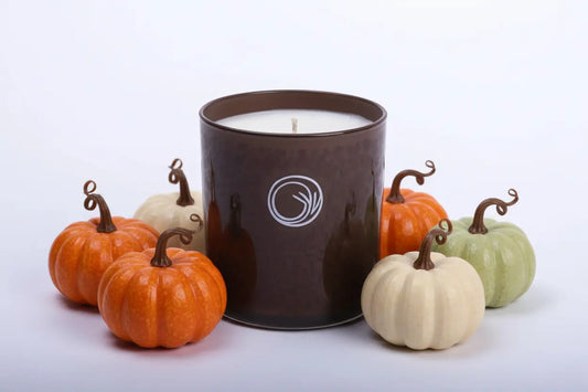 Organic Pumpkin Seed Oil Soy Wax Candle Grey Demeter