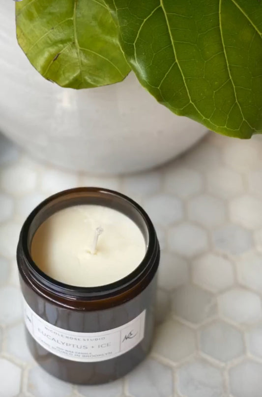 Eucalyptus + Ice Soy Wax Candle - Leisure Life USA