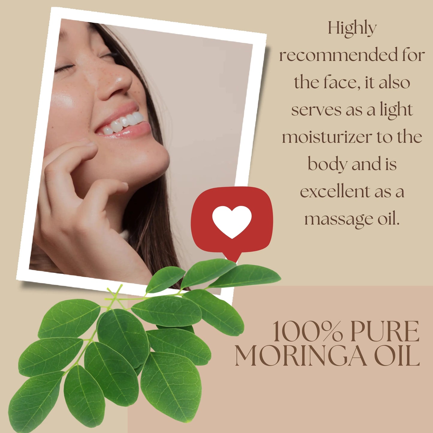 Moringa Seed Oil (organic, cold pressed, unrefined) - Leisure Life USA