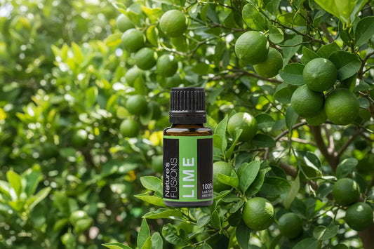 Italian Lime Oil | Cold-Pressed | 15ml Green Danae