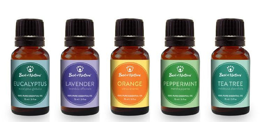Aromatherapy Gift Set - Leisure Life USA