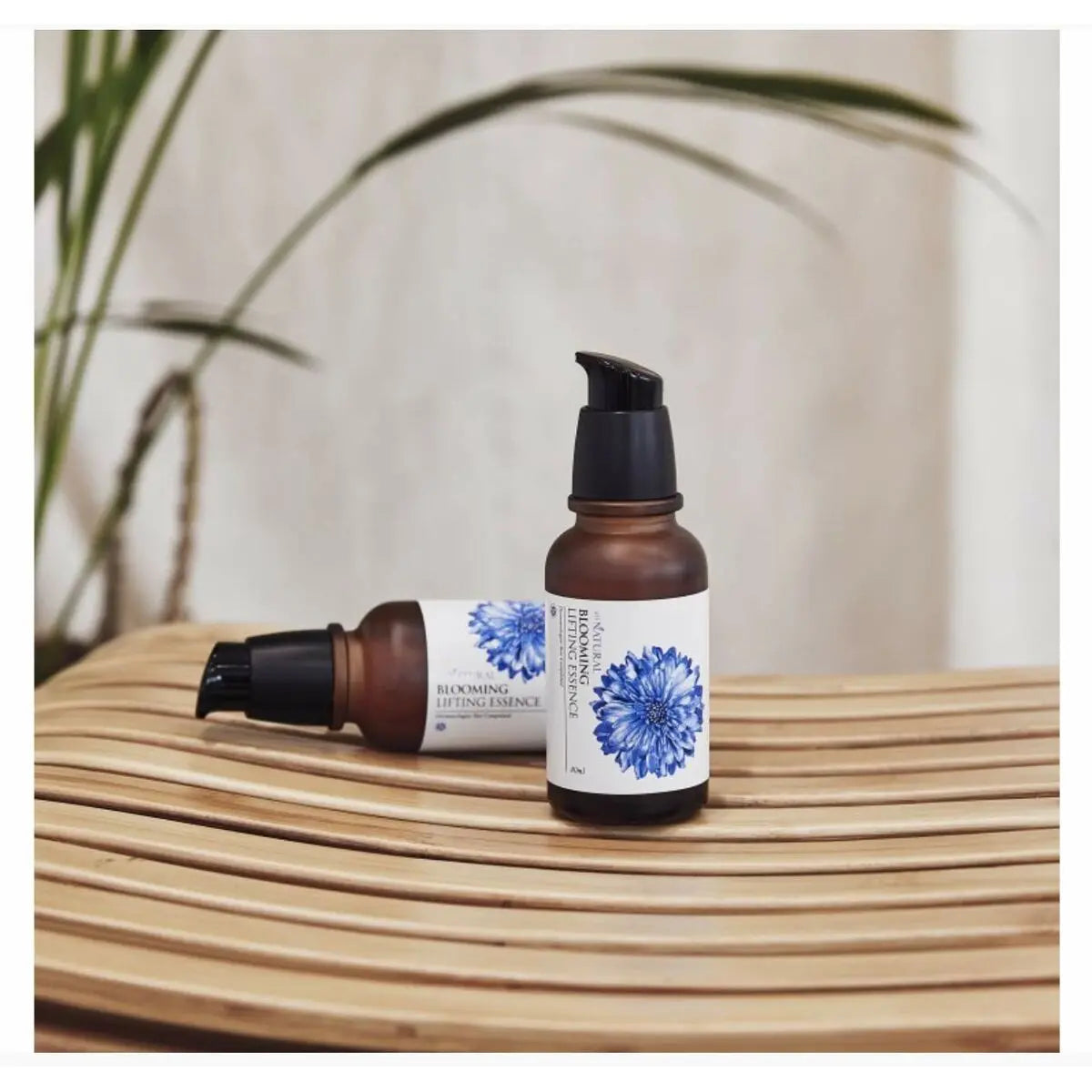 ANBLES Fruits & Roots Anti-Aging Serum | 130g All Natural