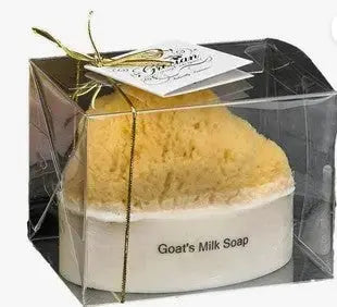 Goats Milk + Coconut Embedded Soap Bar Sea Sponge DC-The Grecian Soap Company