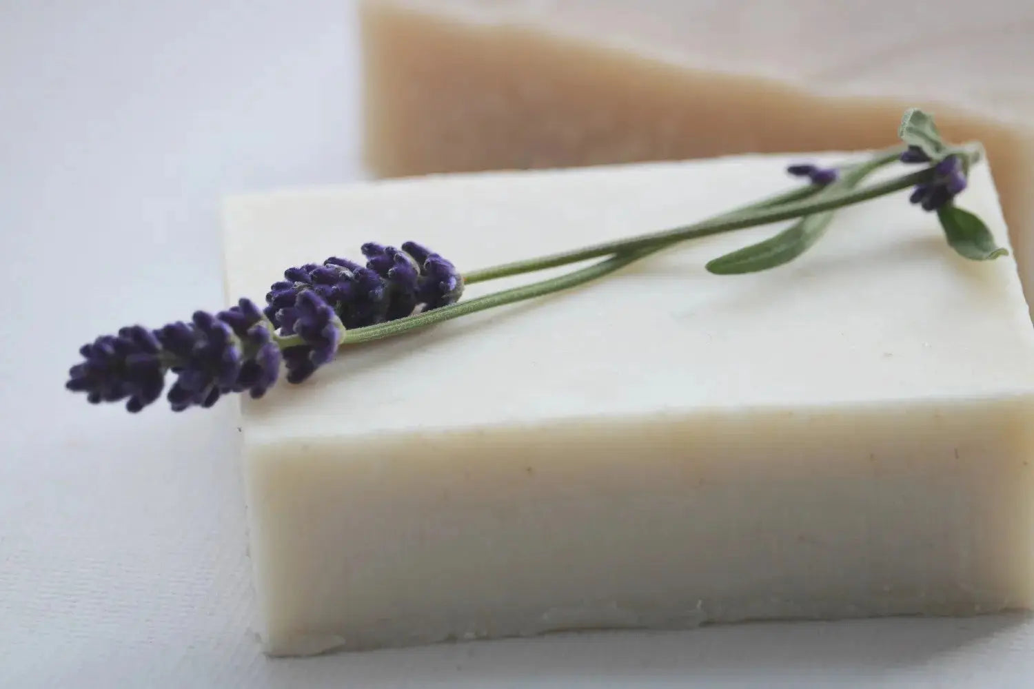 Lavender Chamomile Shampoo Bar - Natural Shampoo - Leisure Life USA