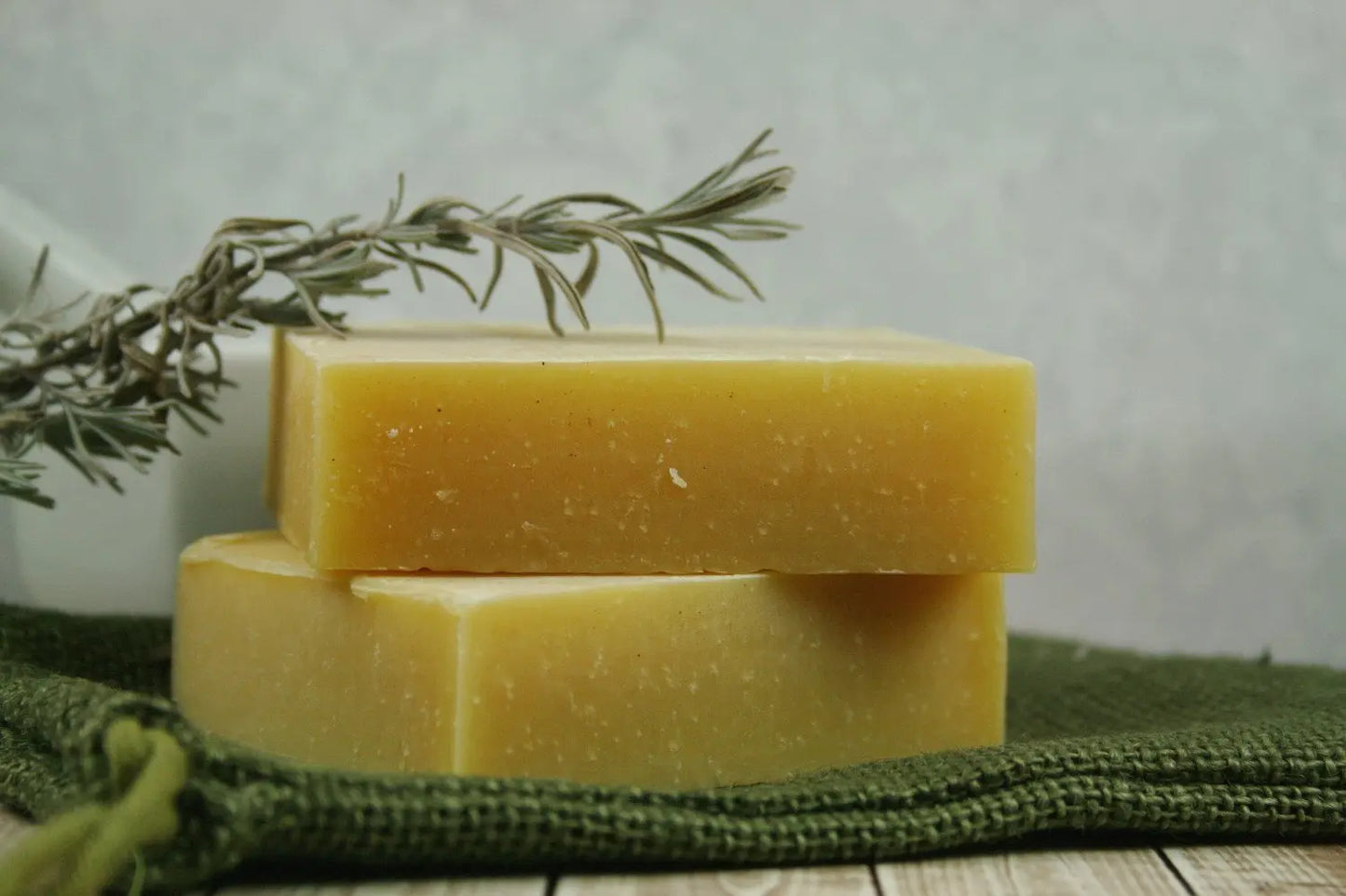 Natural Campers Shampoo & Body Bar - Insect - Leisure Life USA