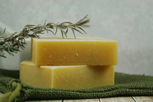 Natural Campers Shampoo & Body Bar - Insect - Leisure Life USA