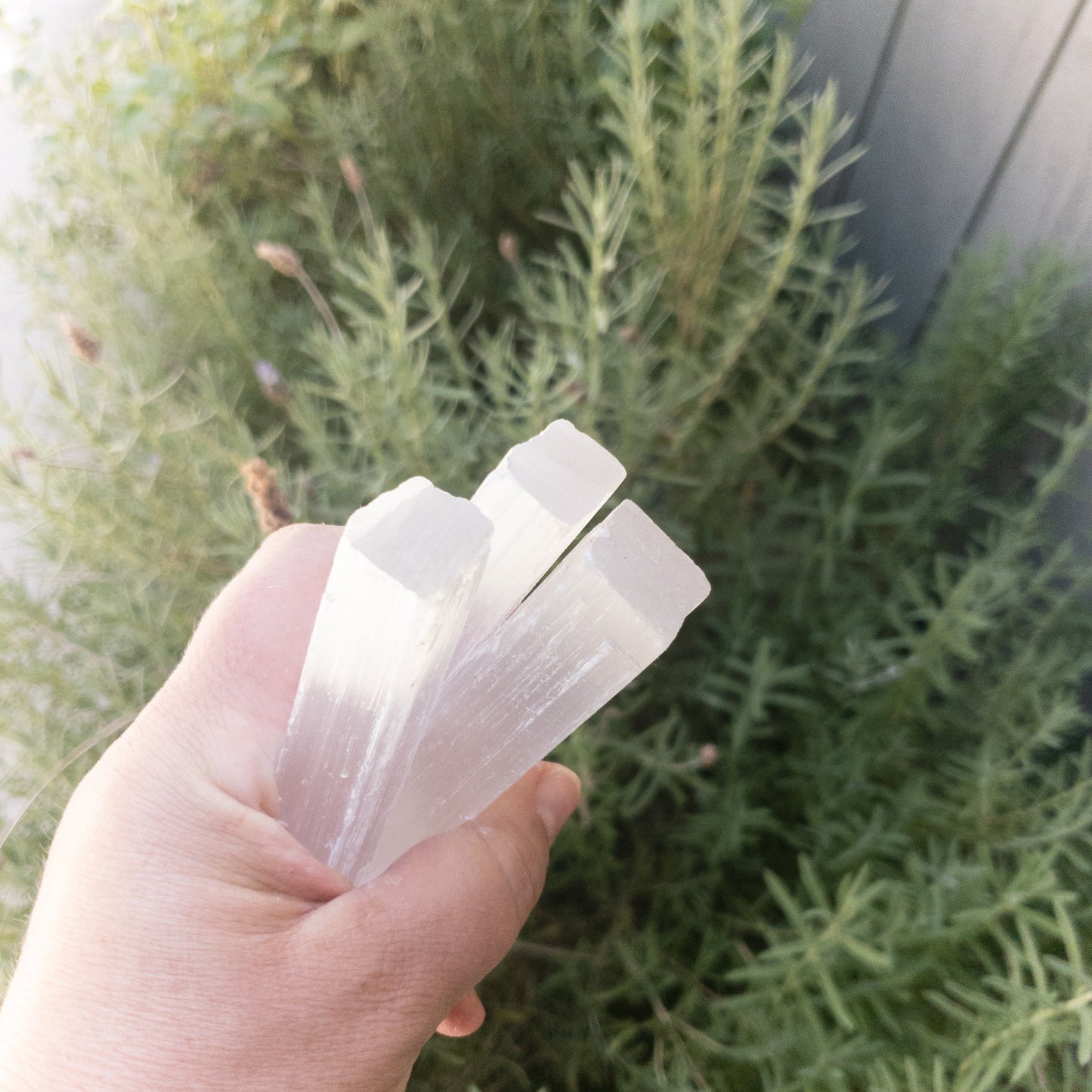 Selenite Sticks 4" - Leisure Life USA
