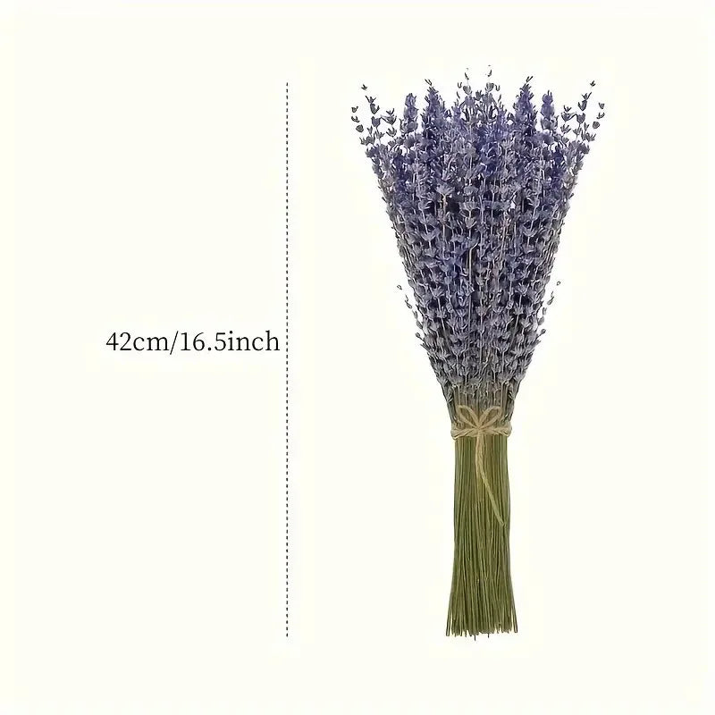 50/100g Natural Dried Lavender Flower Bundles for Wedding Party Decoration Home Aromatherapy DIY Crafts Gifts Photoshoot Props
