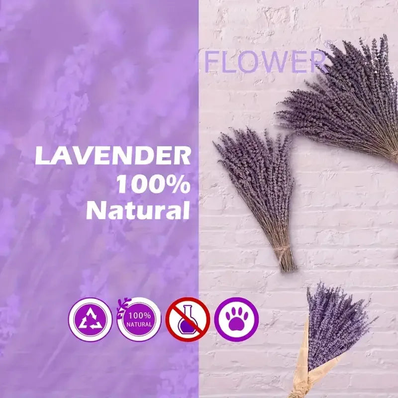 50/100g Natural Dried Lavender Flower Bundles for Wedding Party Decoration Home Aromatherapy DIY Crafts Gifts Photoshoot Props