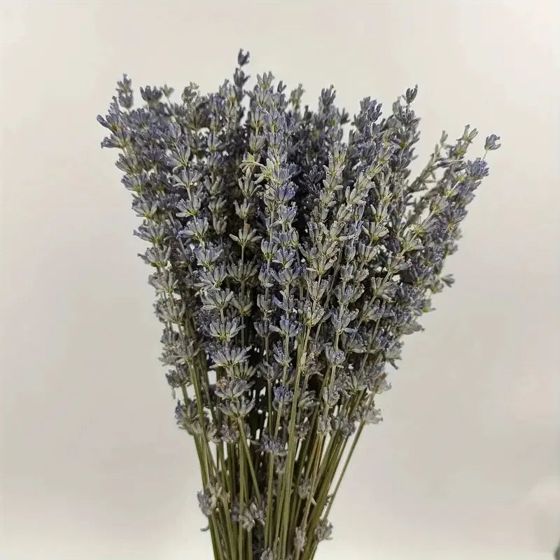 50/100g Natural Dried Lavender Flower Bundles for Wedding Party Decoration Home Aromatherapy DIY Crafts Gifts Photoshoot Props