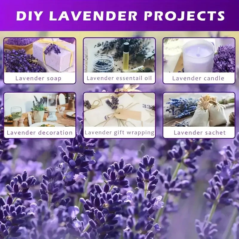 50/100g Natural Dried Lavender Flower Bundles for Wedding Party Decoration Home Aromatherapy DIY Crafts Gifts Photoshoot Props