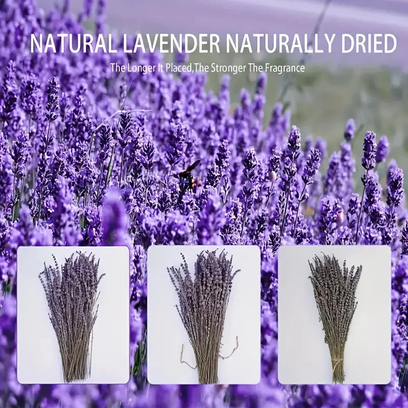 50/100g Natural Dried Lavender Flower Bundles for Wedding Party Decoration Home Aromatherapy DIY Crafts Gifts Photoshoot Props