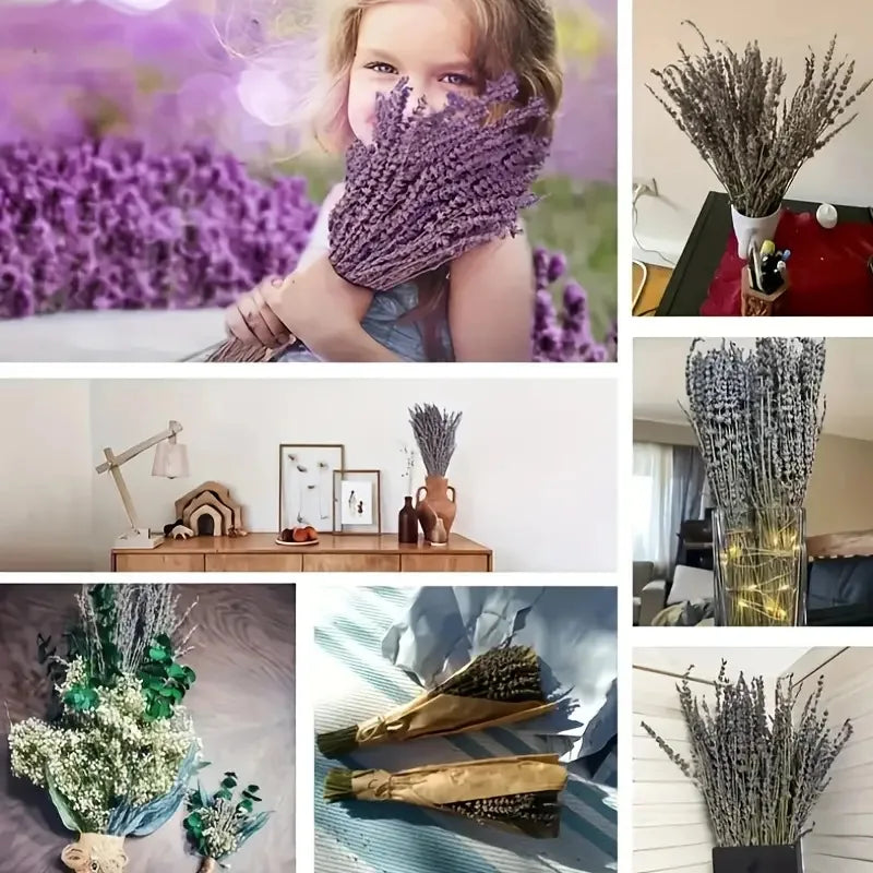 50/100g Natural Dried Lavender Flower Bundles for Wedding Party Decoration Home Aromatherapy DIY Crafts Gifts Photoshoot Props