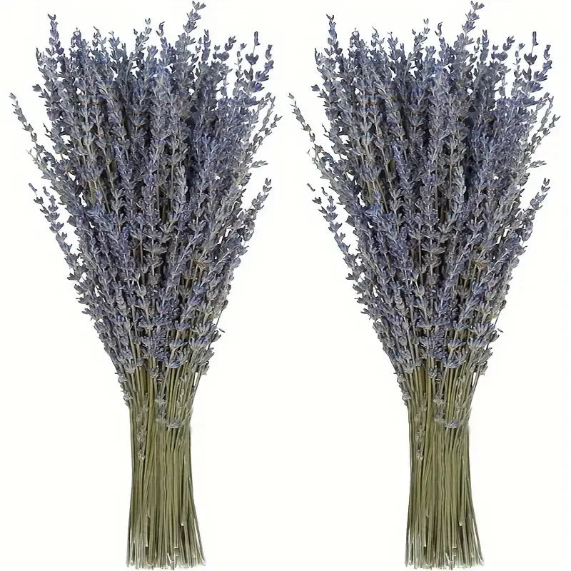 50/100g Natural Dried Lavender Flower Bundles for Wedding Party Decoration Home Aromatherapy DIY Crafts Gifts Photoshoot Props