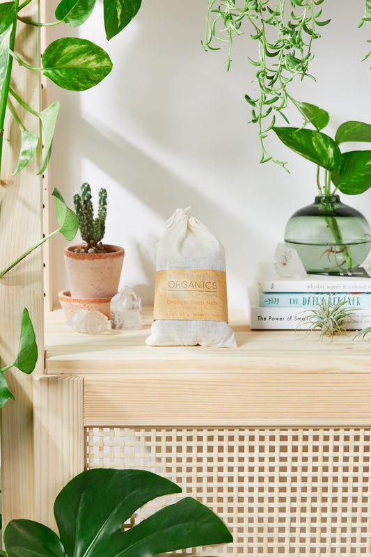 Organic Goji Berry Soap Nuts Laundry Detergent or Household Cleanser - Leisure Life USA