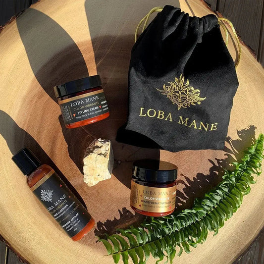 The Travel Kit - Leisure Life USA