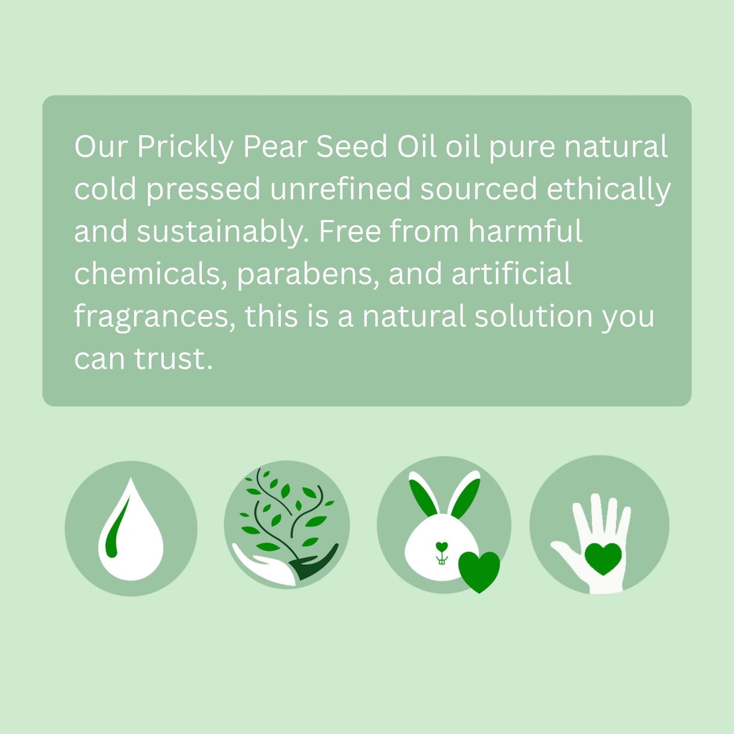 Prickly Pear Seed Oil (Organic, cold pressed, unrefined) - Leisure Life USA