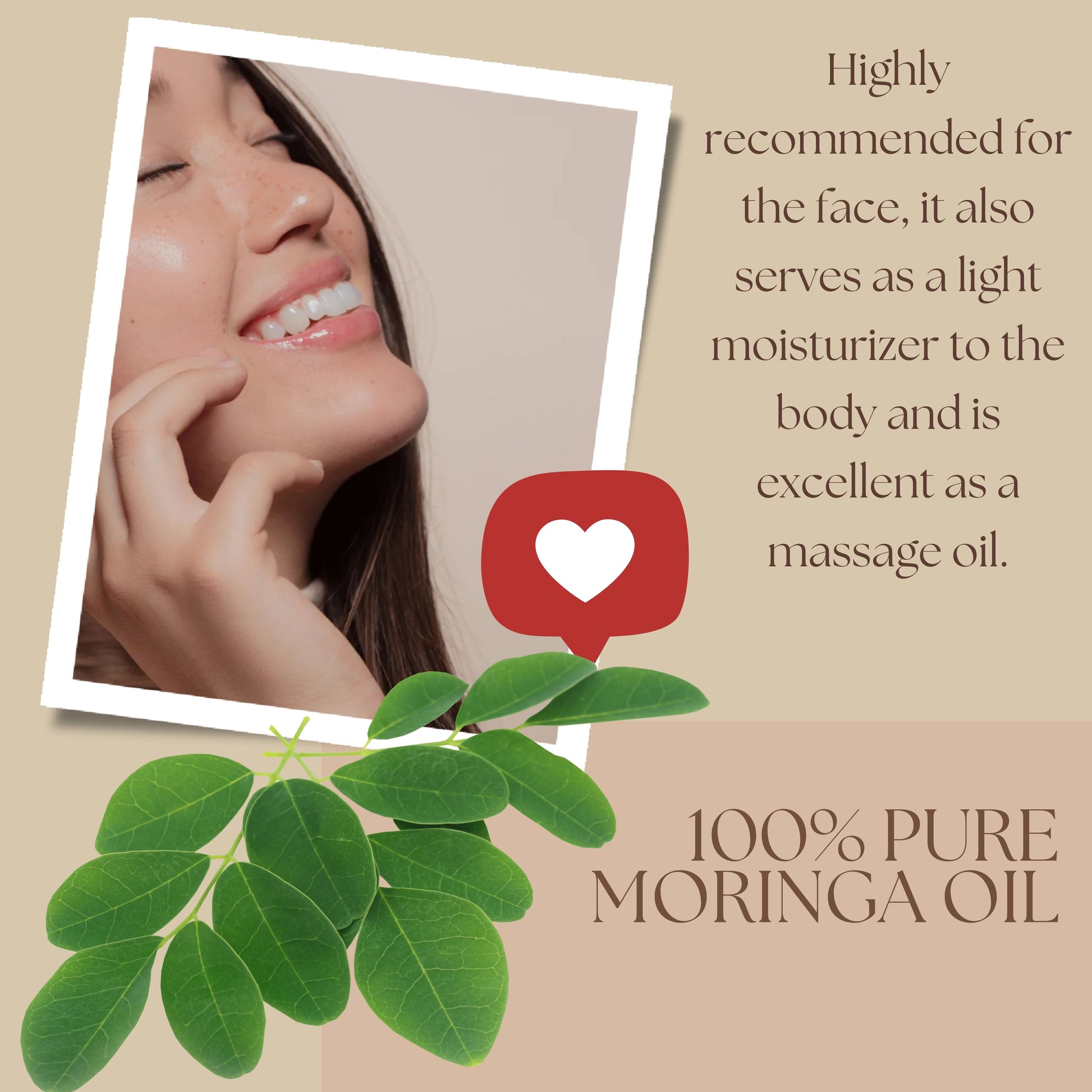 Moringa Seed Oil (organic, cold pressed, unrefined) - Leisure Life USA