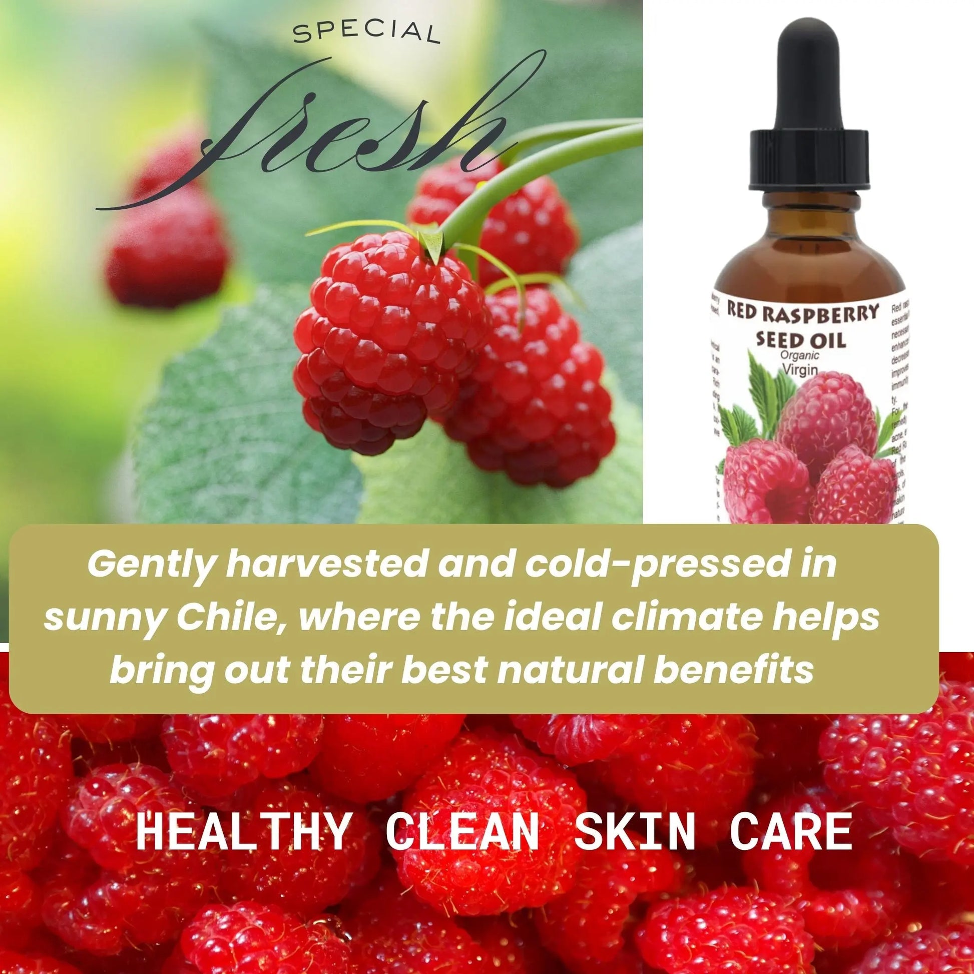 Red Raspberry Seed Oil (Organic, cold pressed, unrefined) - Leisure Life USA