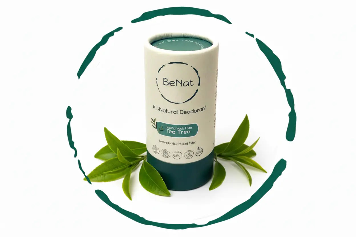 All Natural Coconut Oil + Beeswax 24-Hour Deodorant BeNat