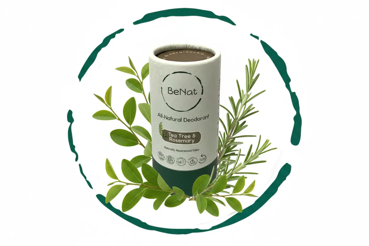 All Natural Coconut Oil + Beeswax 24-Hour Deodorant BeNat