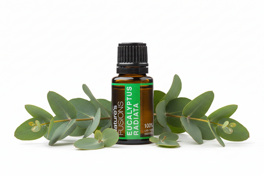 Australian Eucalyptus Radiata Pure Essential Oil
