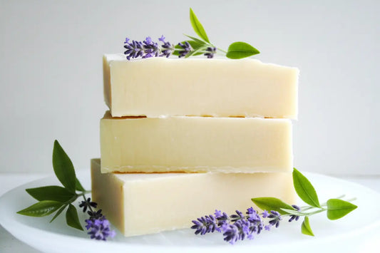 Lovely Lavender + Tea Tree Shampoo Bar Maroon Oliver