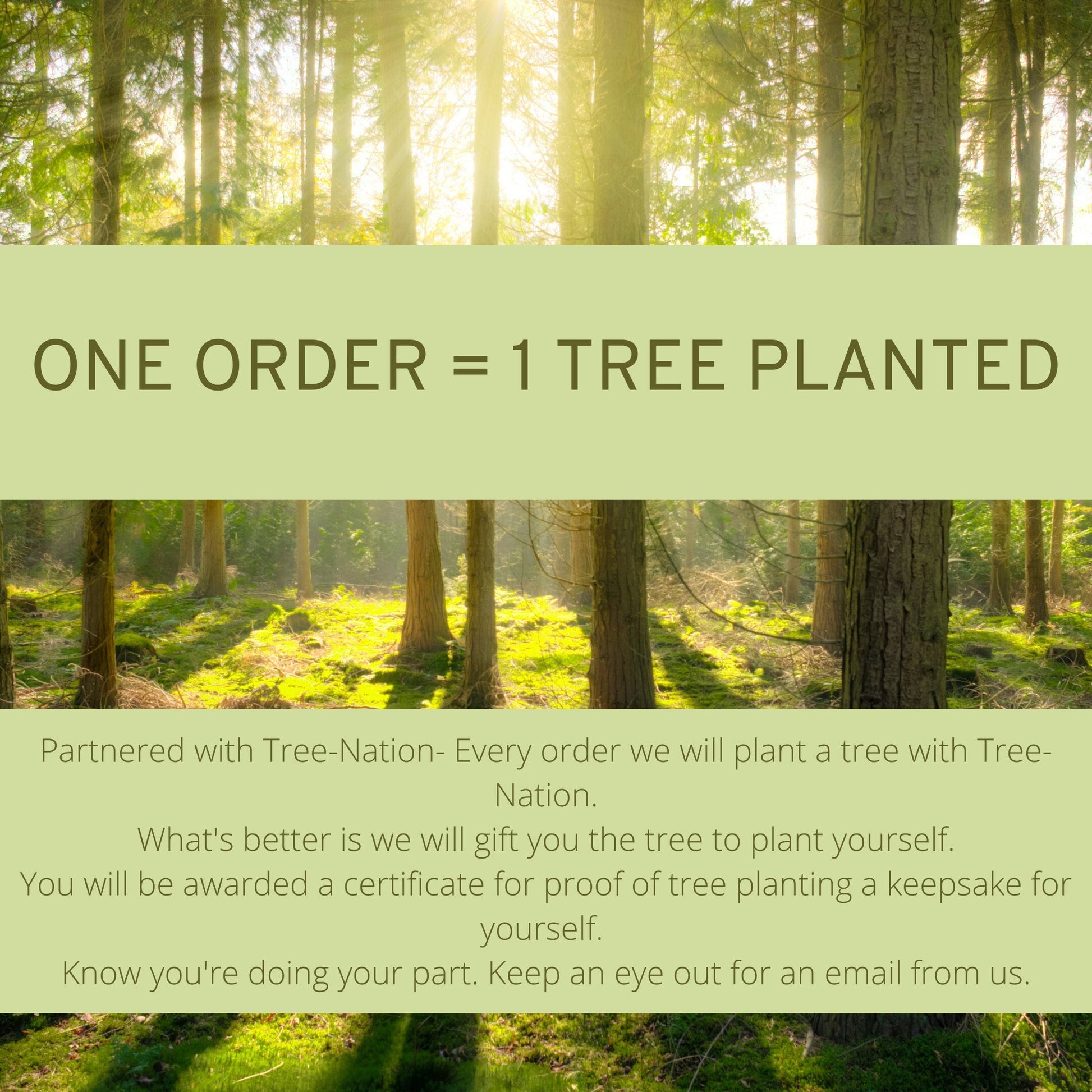 Scotland Highland Sea with Kelp Bath Bomb - Leisure Life USA