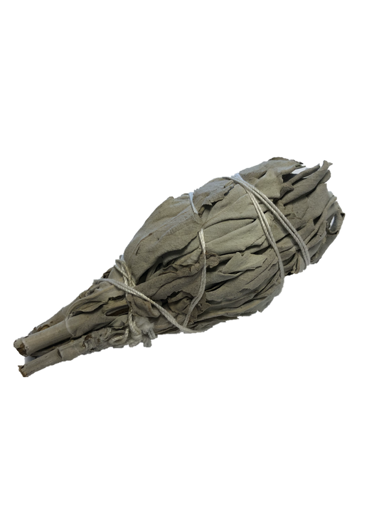 White Sage in the Raw - Leisure Life USA