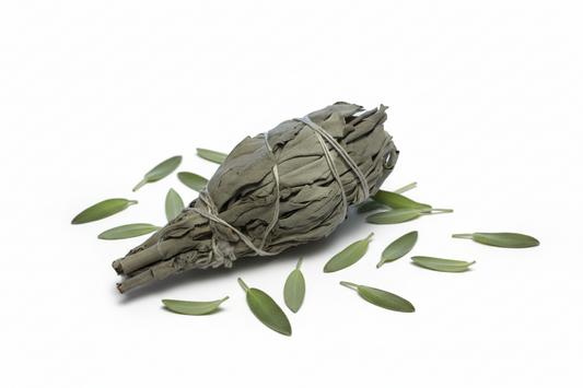 White Sage in the Raw